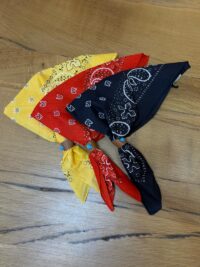 Immagine WhatsApp 2025-03-04 ore 17.48.46_efee069f