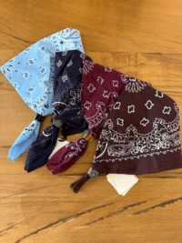 Immagine WhatsApp 2025-04-08 ore 16.18.22_60188892